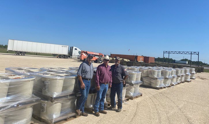 Cattle-Feed.jpg